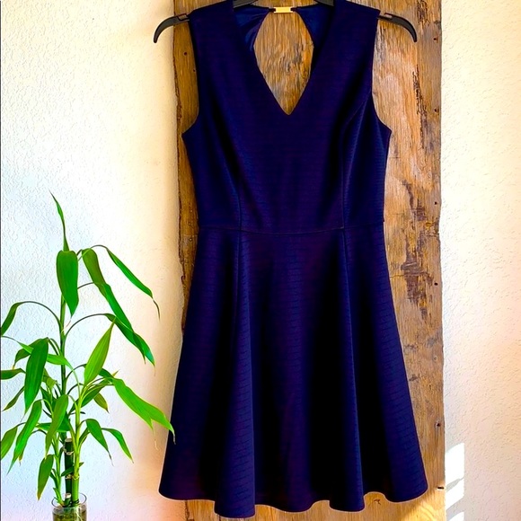 Ted Baker contrast panel skater dress- size 8
